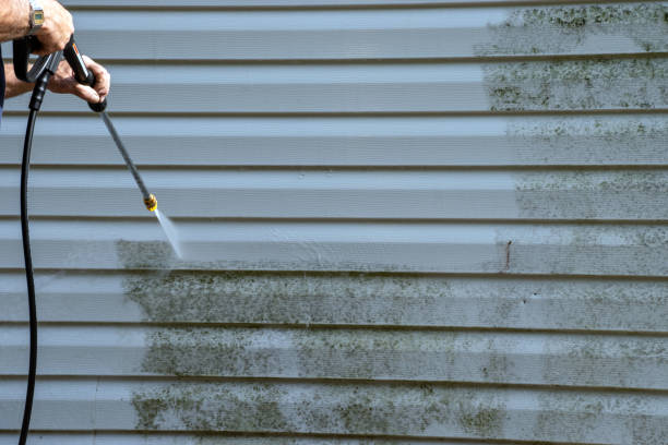 Trusted Ada, OK Siding Installation & Repair Experts